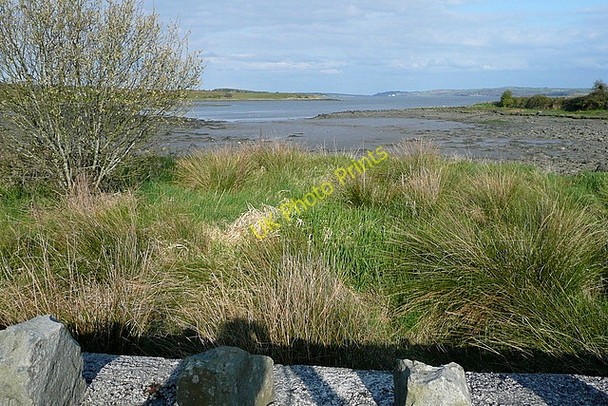 Photo 6"x4" Labasheeda Bay Labasheeda c2010