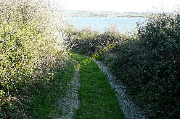 Photo 6"x4" Track to the estuary Glin c2010
