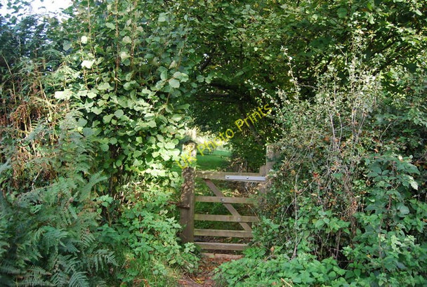 Photo 6"x4" Sussex Border Path east of Sandhill Lane Heathfield\/TQ5630 c2010