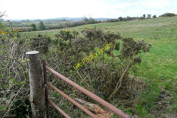 Photo 6"x4" Rough grazing at Cloonmore Ballynacally c2010