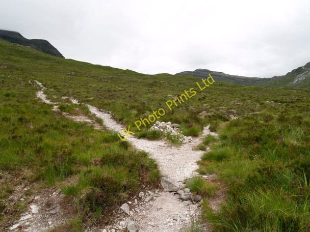 Photo 6"x4" Track branch, Fionn-abhainn Coulags c2006