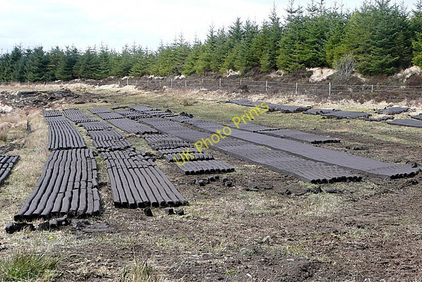 Photo 6"x4" Turf drying Liscasey c2010