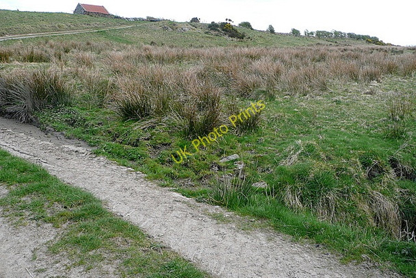 Photo 6"x4" Farm track at Burren Ballynacally c2010