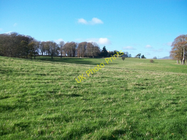 Photo 6"x4" Parkland at Mount Panther, Clough Clough\/J4040 c2010
