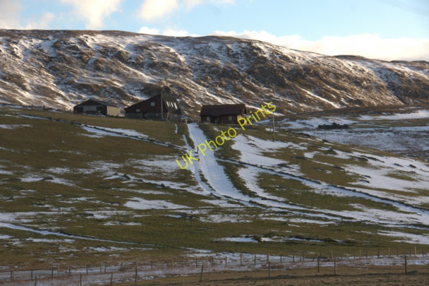 Photo 6"x4" Feall, Westing Westing\/HP5705 c2010