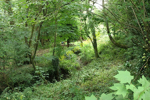 Photo 6"x4" Membury: below Lewsley Farm Turfmoor\/ST2701 c2006