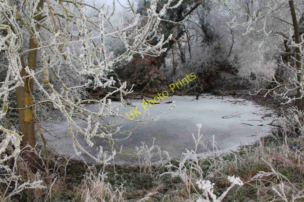 Photo 6"x4" Frozen pond by Billesley Brake Billesley\/SP1456 c2010