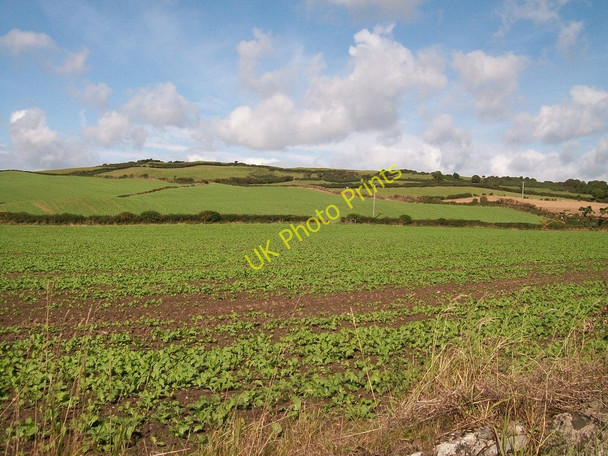 Photo 6"x4" Cropland west of the A2 Dundrum\/J4036 c2010