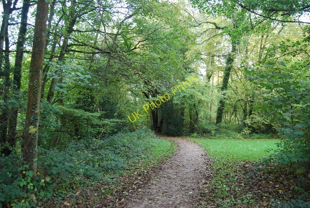 Photo 6"x4" Sussex Border Path Cousley Wood c2010