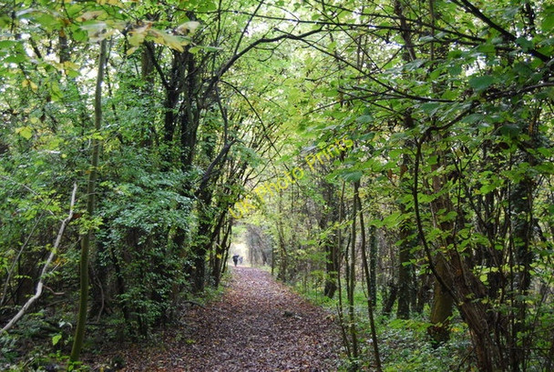 Photo 6"x4" North Downs Way to Otford Kemsing c2010