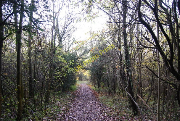 Photo 6"x4" The North Downs Way Otford c2010