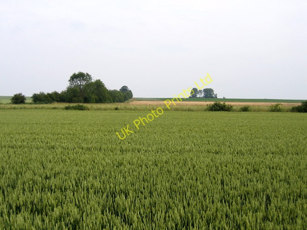 Photo 6"x4" Farmland, Grunty Fen, Cambs Witchford c2006