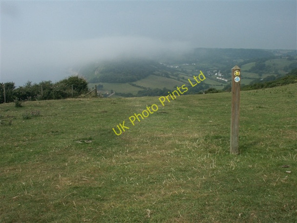 Photo 6"x4" Footpath and bridleway sign, towards Branscombe Vicarage c2006