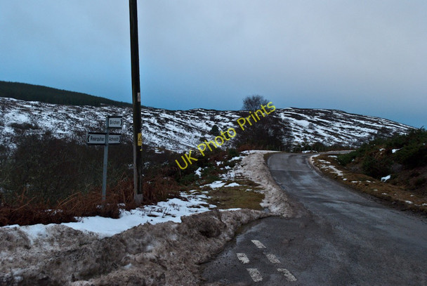 Photo 6"x4" Out in the Wilds Rearquhar c2010