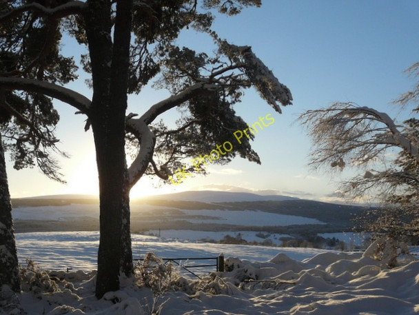Photo 6"x4" On the A839 near Rosehall Altass c2010