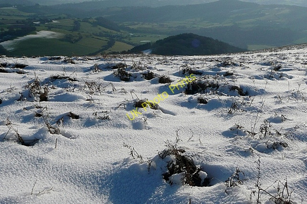Photo 6"x4" On Garway Hill White Rocks c2010