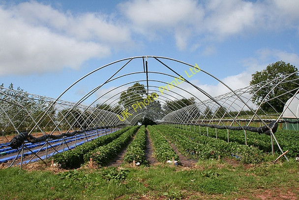 Photo 6"x4" Stockleigh Pomeroy: by Thorne\u00e2\u0080\u0099s Farm Shop Stockleigh Pomeroy c2006