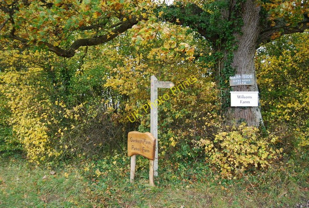 Photo 6"x4" 1066 signpost, Wilson's Cross Bodle Street Green c2010