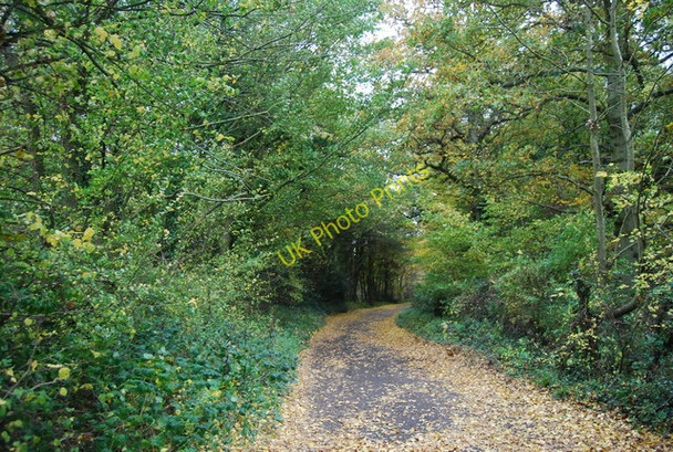 Photo 6"x4" 1066 Country Walk, Pain's Wood Bodle Street Green c2010