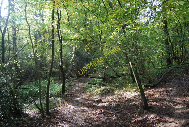 Photo 6"x4" Footpath junction, Long Shaw Mott's Mill c2010