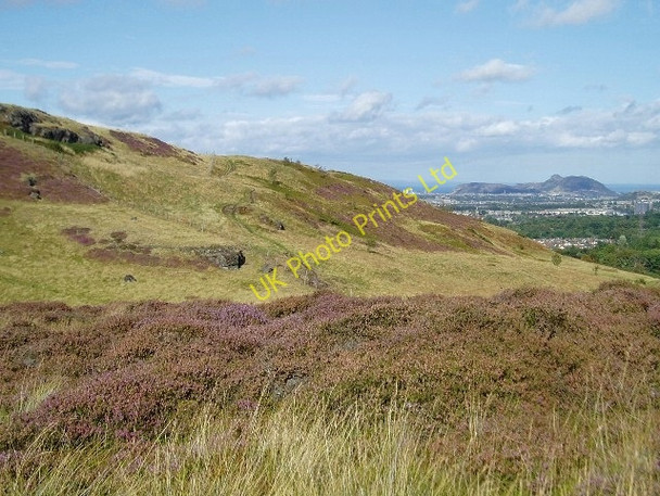 Photo 6"x4" Bonaly Country Park Torphin c2006