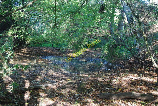 Photo 6"x4" Boggy pond, Doctor's Shaw Northiam c2010