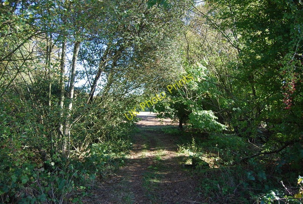 Photo 6"x4" In Crabshole Shaw Northiam c2010