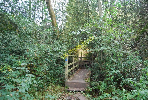 Photo 6"x4" Sussex Border Path entering Ketley Wood Union Street c2010