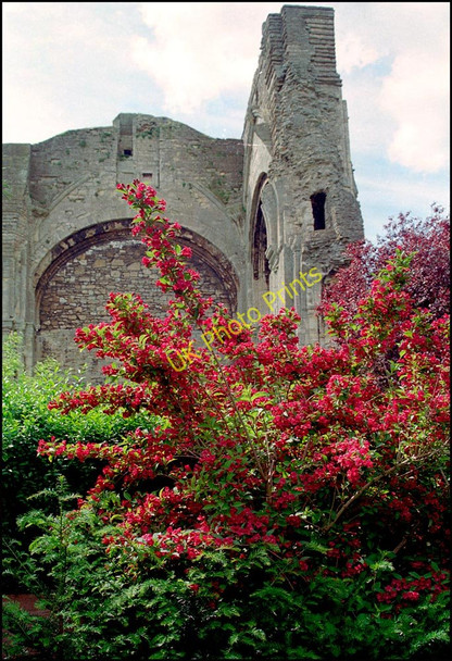 Photo 6"x4" Malmesbury Abbey Malmesbury c2004