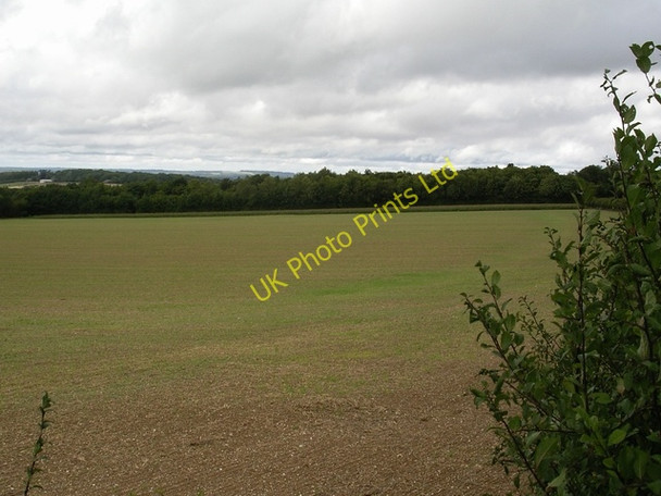 Photo 6"x4" Warren Plantation Steventon\/SU5447 c2006