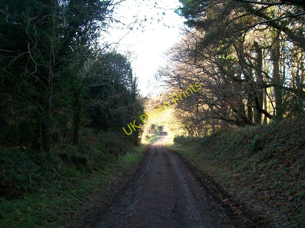 Photo 6"x4" Castle Walk at Castlewellan Castle Castlewellan c2010