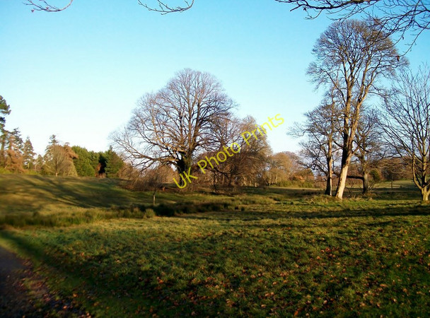 Photo 6"x4" Parkland trees at The Castle, Castlewellan Castlewellan c2010