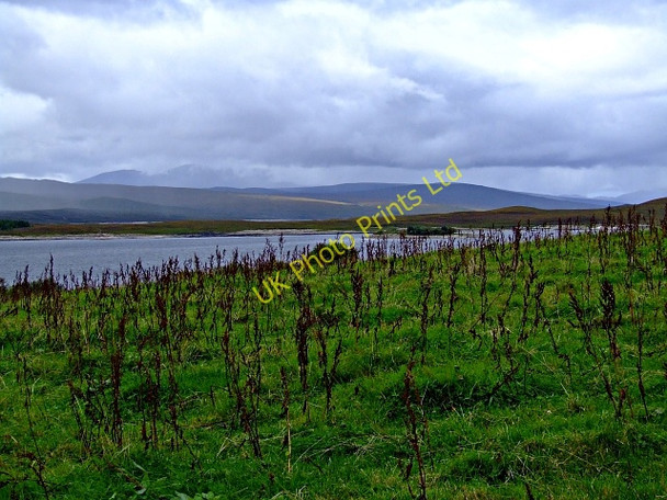 Photo 6"x4" Looking towards Loch Shin Achnairn c2006