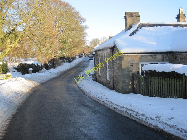 Photo 6"x4" Road next to Riding Lea Farm Beauclerc c2010
