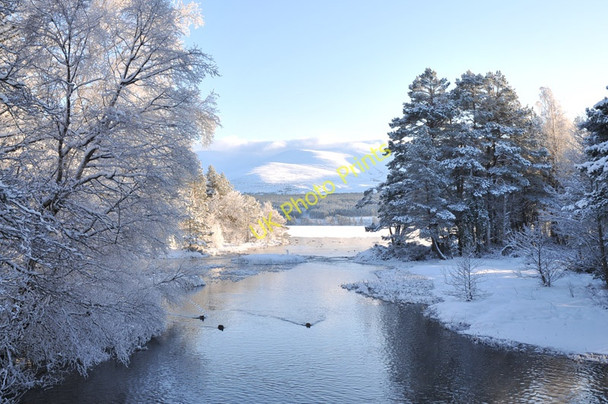 Photo 6"x4" River Luineag leaving Loch Morlich Loch Morlich c2010