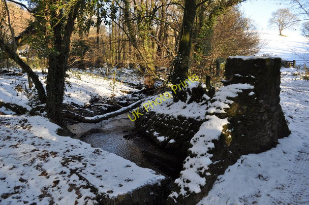 Photo 6"x4" The view upstream from Collacott Bridge on Colam Stream Bittadon c2010