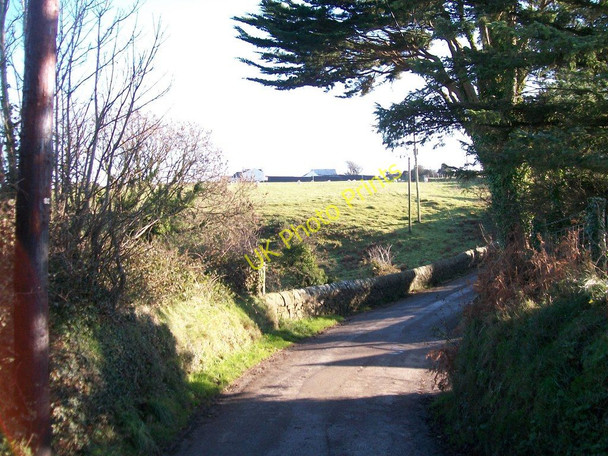 Photo 6"x4" Pont Bodgaeaf bridge Bryncroes c2010