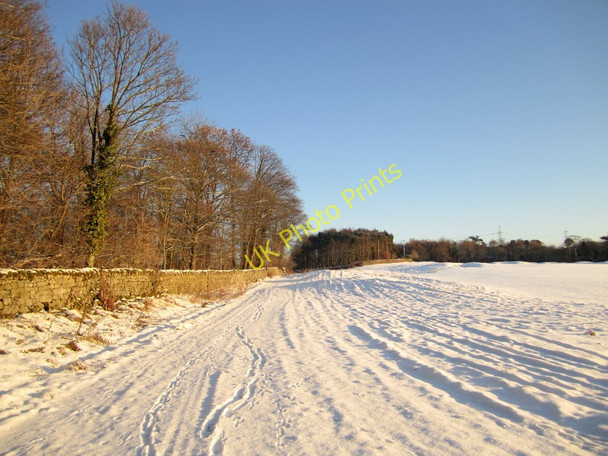 Photo 6"x4" Track by West Wood, Close House Golf Course Houghton\/NZ1266 c2010