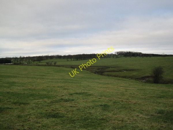 Photo 6"x4" River Blyth and Farmland Wallridge c2010