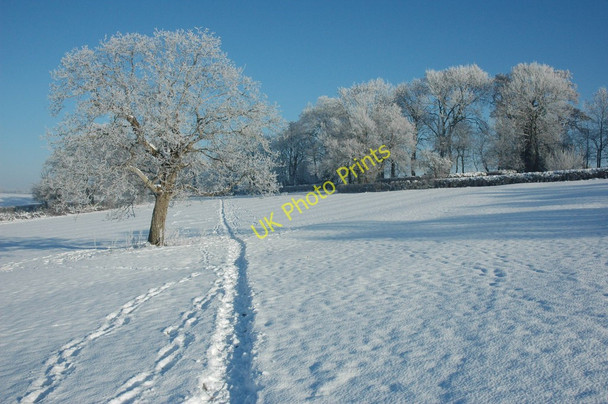 Photo 6"x4" Footpath to Earl's Croome Holly Green\/SO8641 c2010