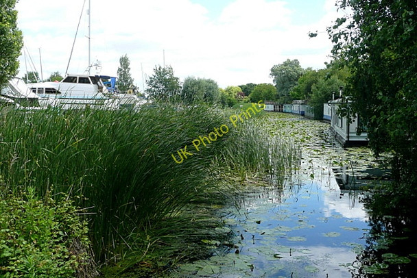 Photo 6"x4" Houseboats on the Portsmouth and Arundel Canal Birdham c2010 P1