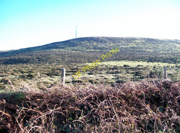 Photo 6"x4" Gorse covered slopes of Mynydd Rhiw Rhiw\/SH2228 c2010