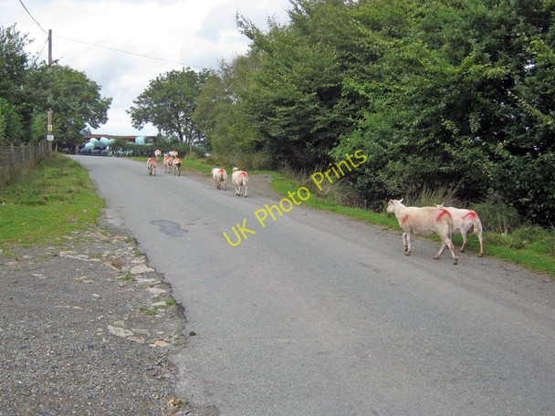 Photo 6"x4" Rush hour at Cleeton St Mary Cleeton St Mary c2010