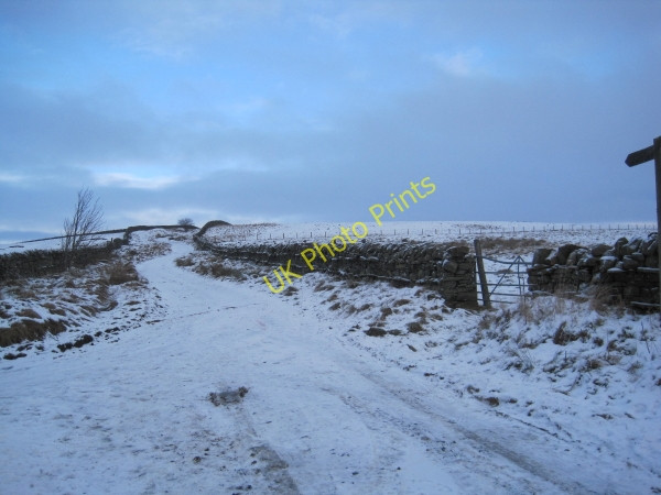 Photo 6"x4" Bridleway towards Greenrigg Moor Catton\/NY8257 c2010