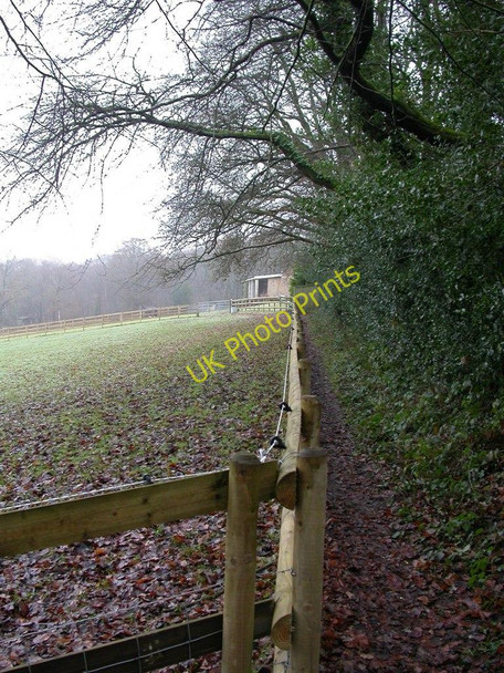 Photo 6"x4" Crow Hill, footpath Ringwood\/SU1505 c2010
