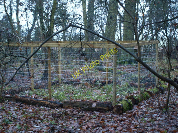 Photo 6"x4" Protected Area? Ampthill c2010