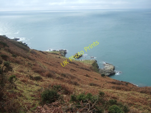 Photo 6"x4" Bracken covered cliffside near Gara Point Wembury c2010
