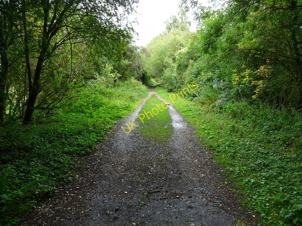 Photo 6"x4" Stockbridge - The Test Way Footpath Stockbridge\/SU3535 c2010