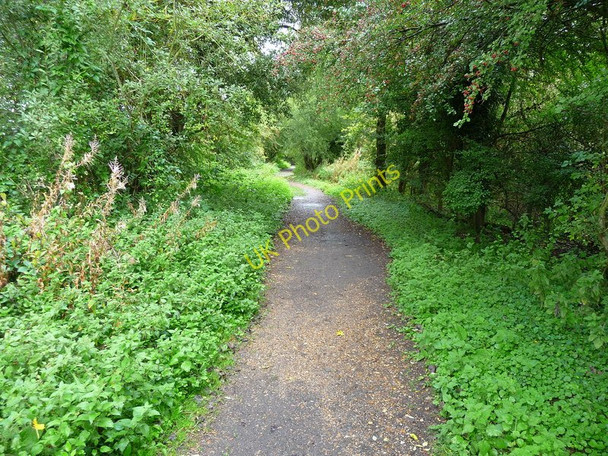 Photo 6"x4" Stockbridge -The Test Way Footpath Stockbridge\/SU3535 c2010
