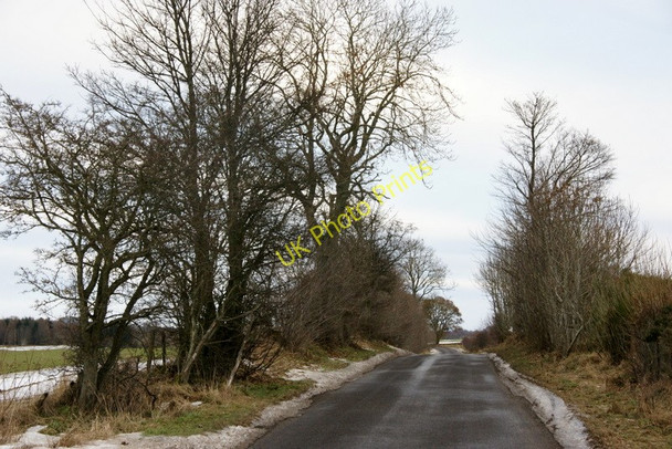 Photo 6"x4" Road near Leys of Lindertis, Airlie Craigton\/NO3250 c2011